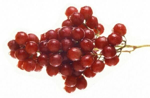 21940_modal|21941_modal